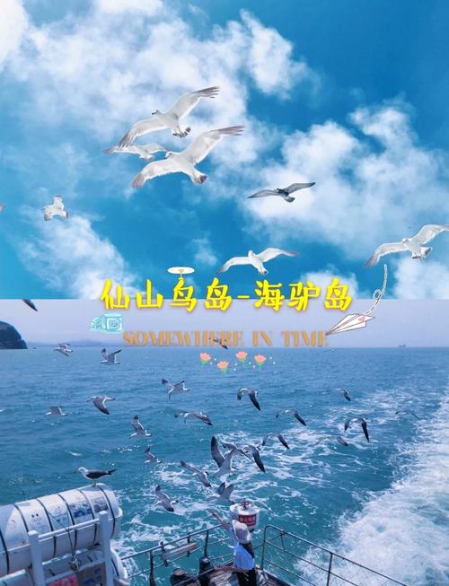 风光
