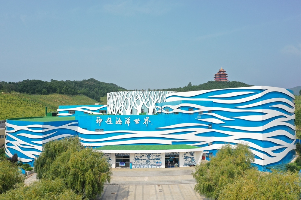 海洋馆儿童票