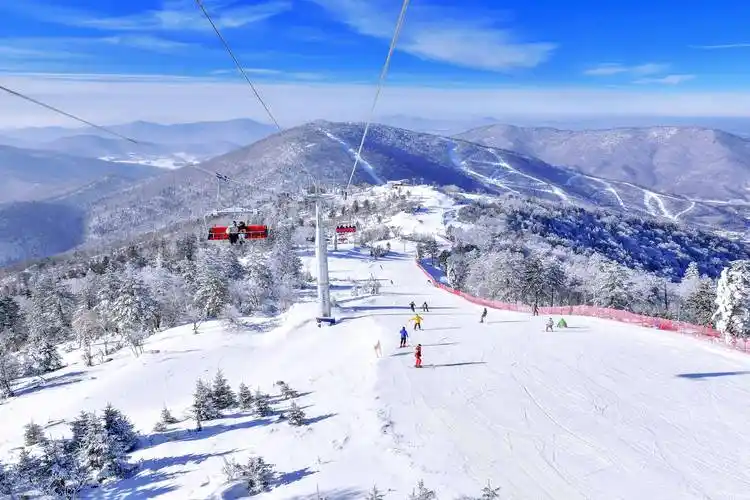 威海滑雪场全天票